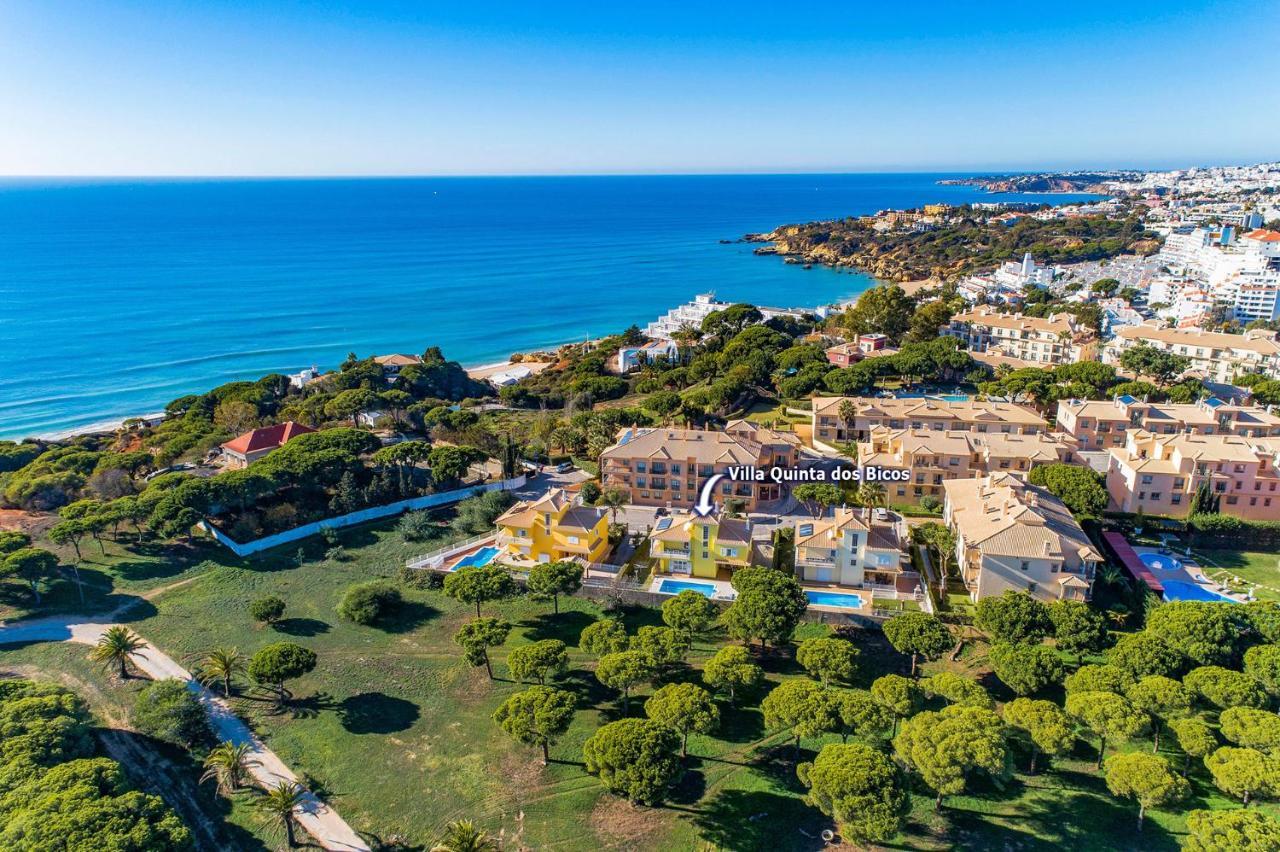 Villa Quinta Dos Bicos By Villa Plus Αλμπουφέιρα Εξωτερικό φωτογραφία