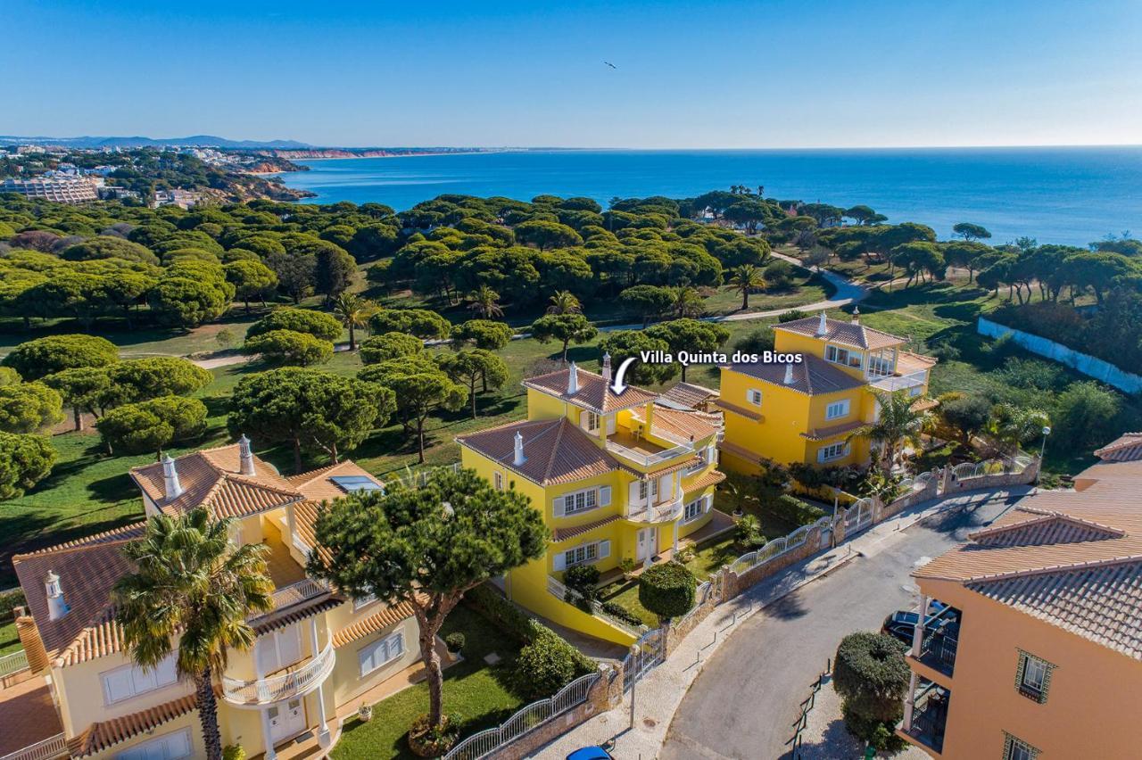 Villa Quinta Dos Bicos By Villa Plus Αλμπουφέιρα Εξωτερικό φωτογραφία